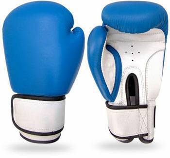 Blue,White Plain Boxing Gloves